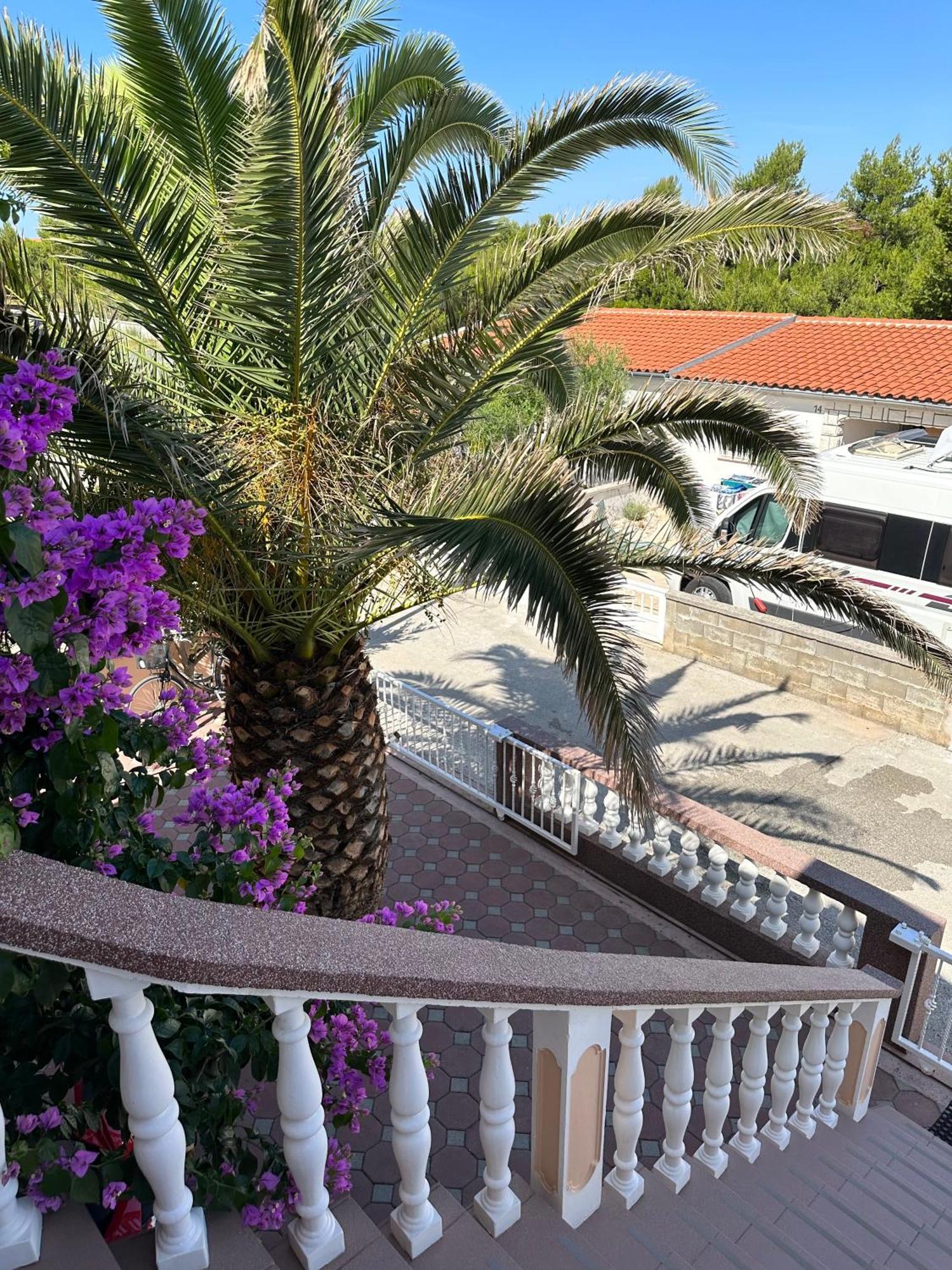 Apartmani Bermanec Vir Esterno foto