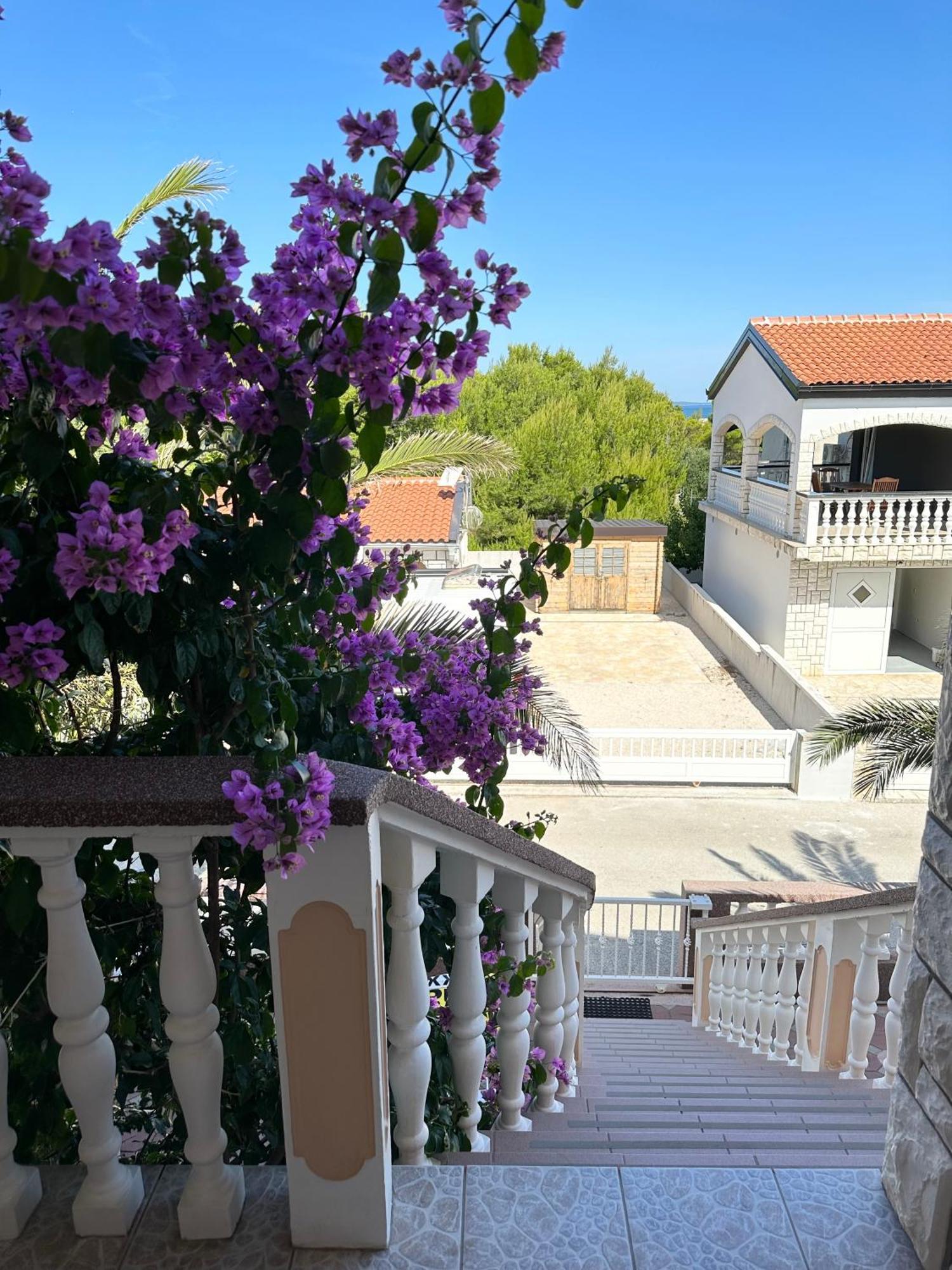 Apartmani Bermanec Vir Esterno foto